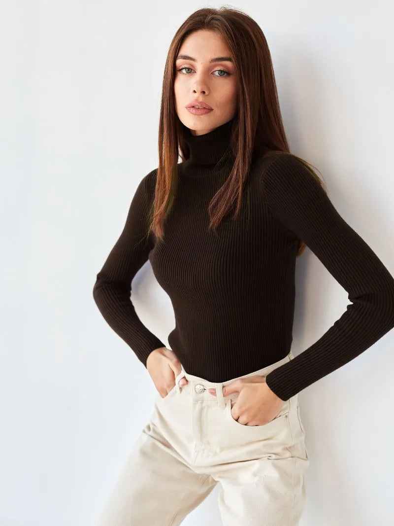 Knitted Basic Turtleneck Sweaters