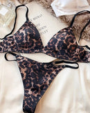 Sexy Silky Triangle Cup Wire-Free Bra Set