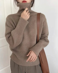 Thick Cashmere Turtleneck Sweater
