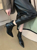 Simple Pointed-Toe Ankle Boots With High Heels