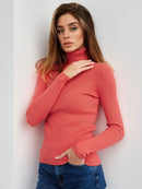 Knitted Basic Turtleneck Sweaters