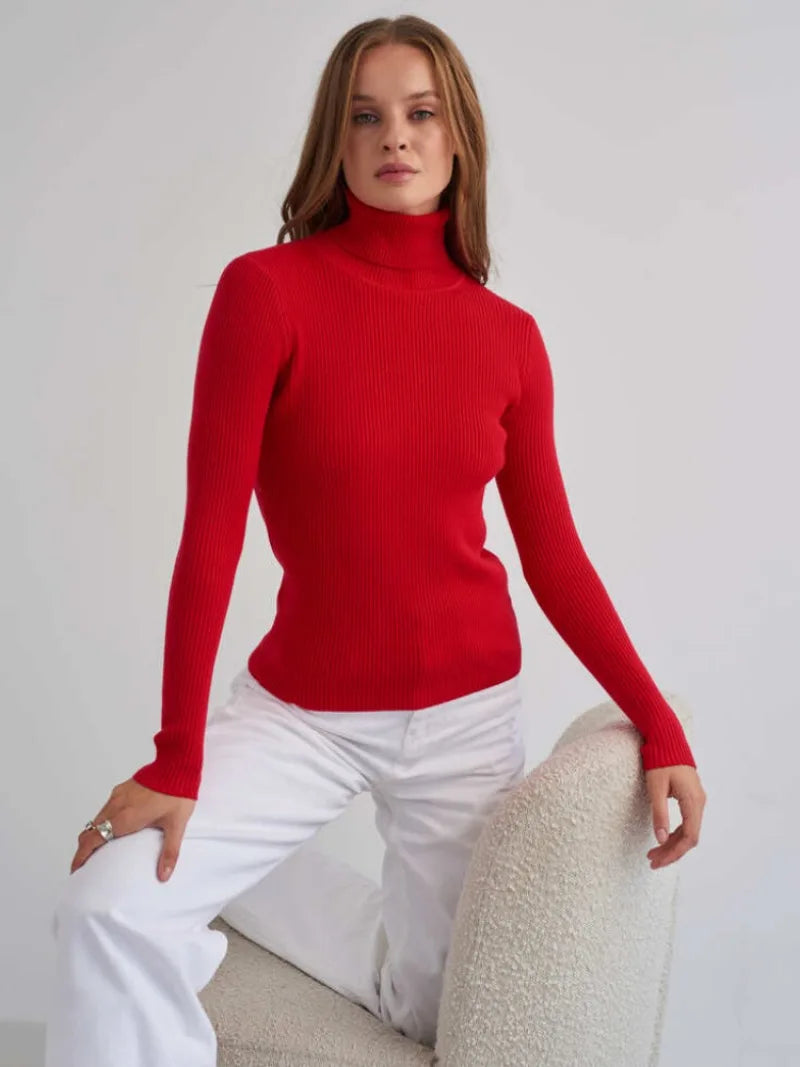 Knitted Basic Turtleneck Sweaters