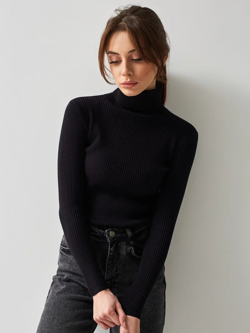 Knitted Basic Turtleneck Sweaters