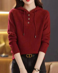 Hooded Knit Pullover Sweater