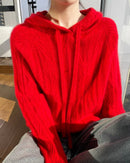 Stylish Wool Knitted Hooded Sweatshirt