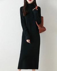 Merino Wool Turtleneck Knit Dress