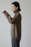 Brown 第2张侧面图，颜色修正版
