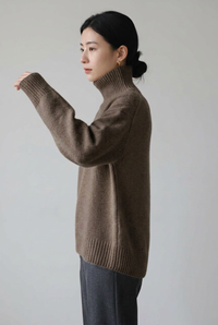 Brown 第2张侧面图，颜色修正版