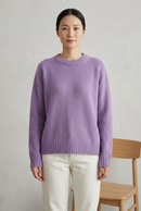 Purple 6