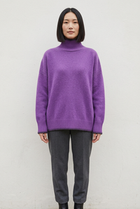 Purple 穿搭重做版